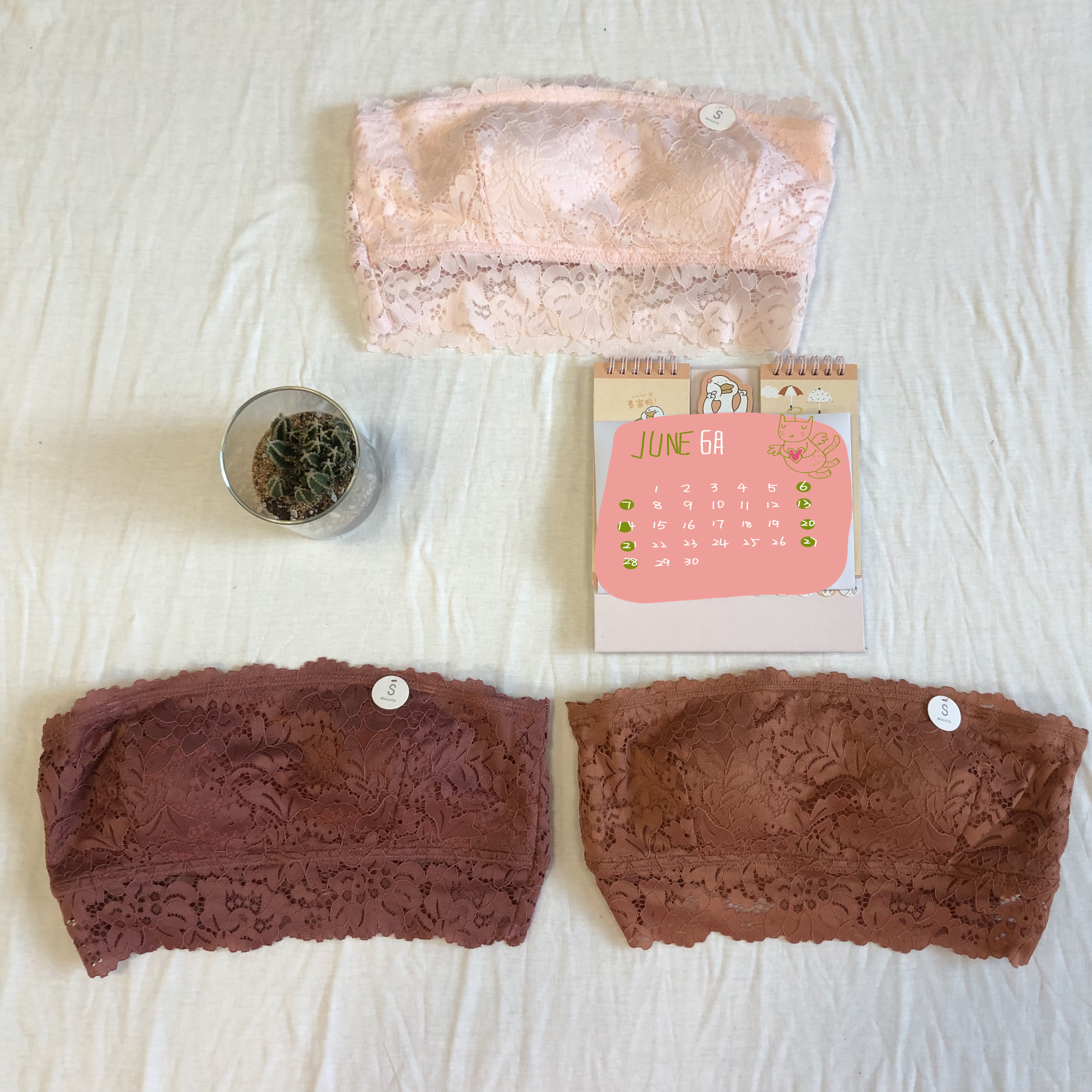 ladies underwear/bra