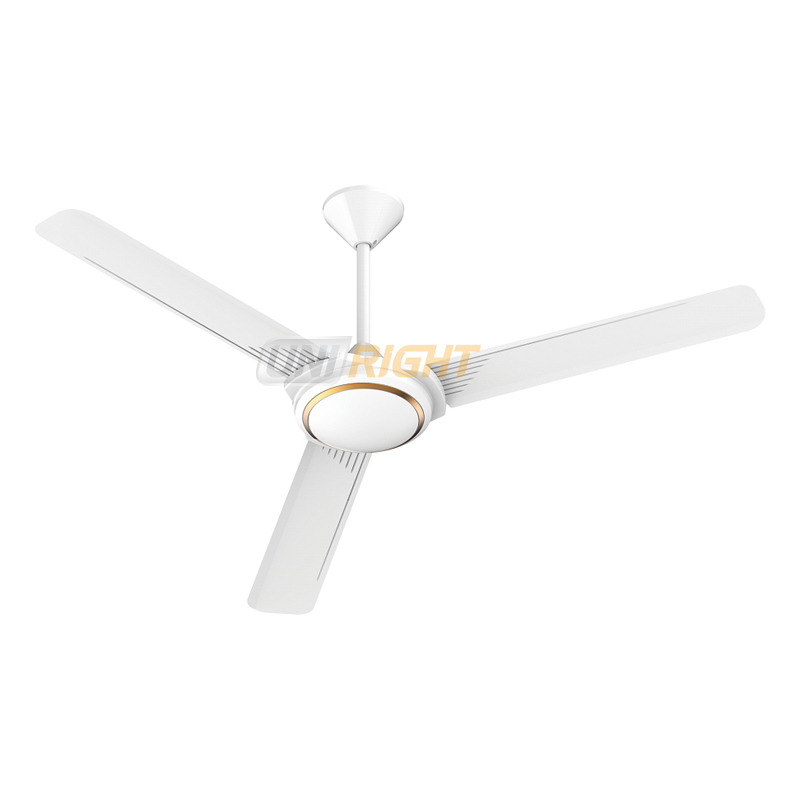 Ceiling Fan