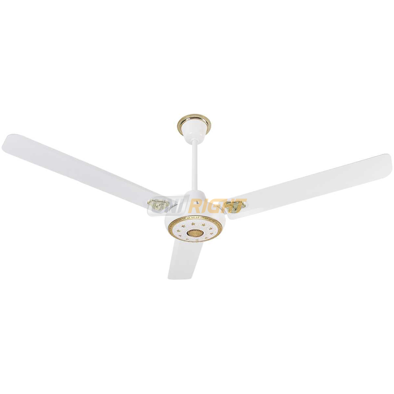 Ceiling Fan