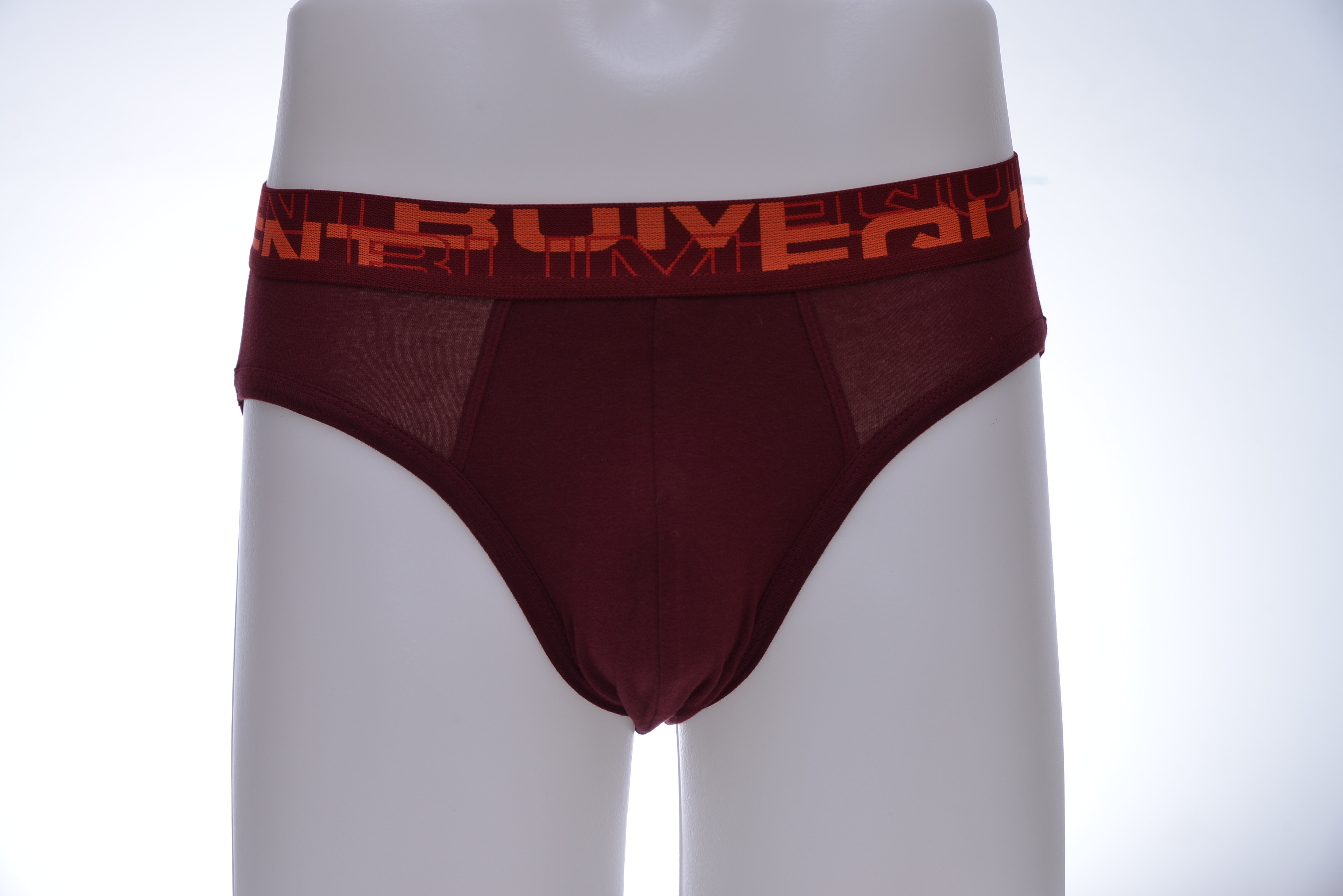 men's briefs