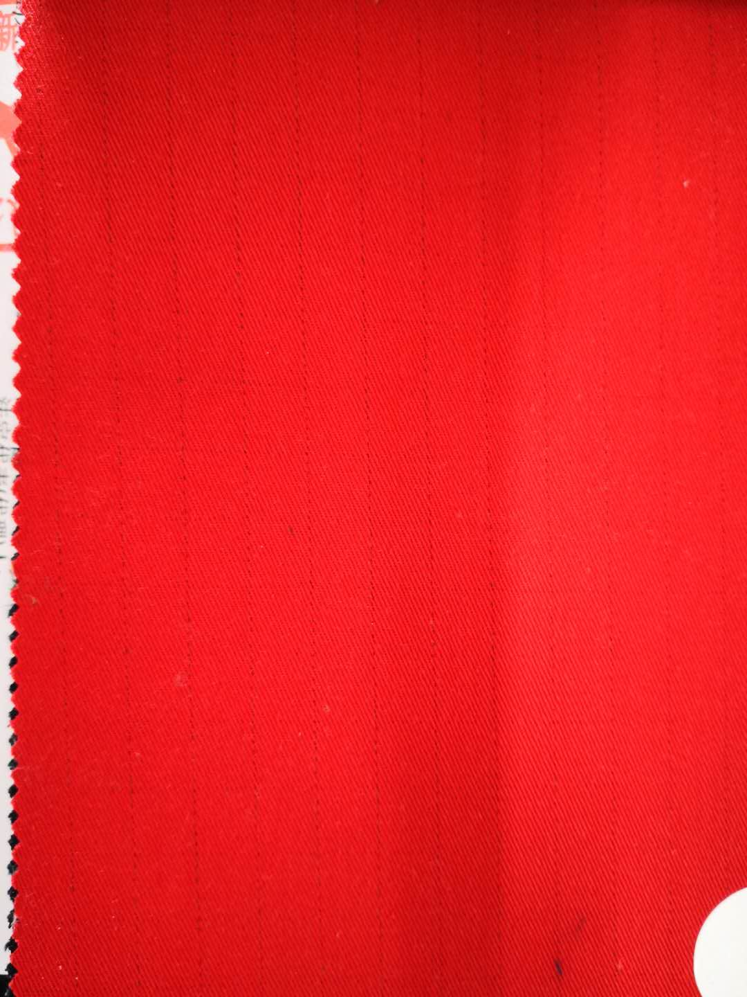 XINXIANG TIANRUI DYEING&WEAVING CO.LTD – vestido de noche 3