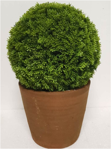 flower pot