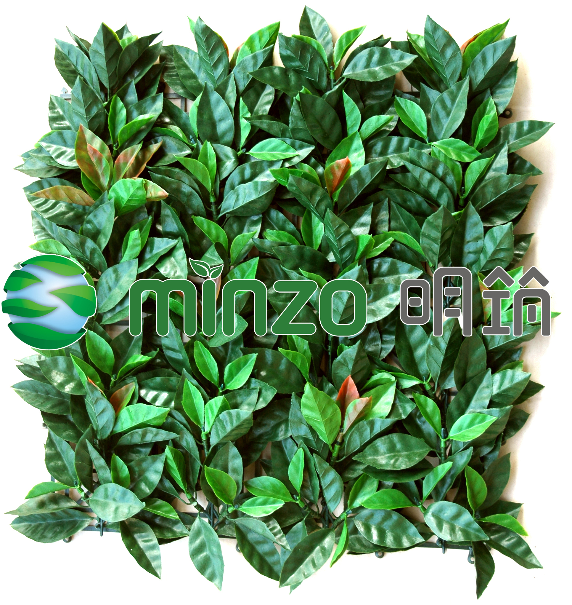 Green Wall