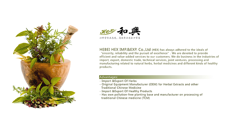 Hebei Hexing Import and Export Trading Co., Ltd. – Jujube 1