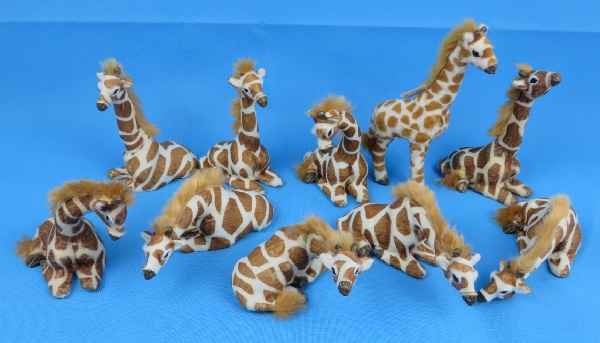 Giraffe