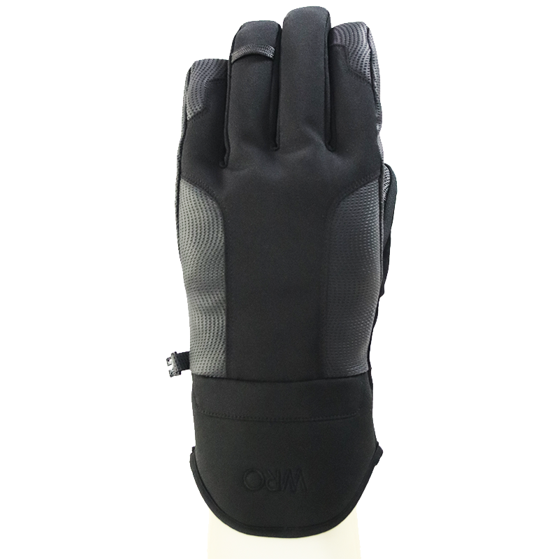 ski glove