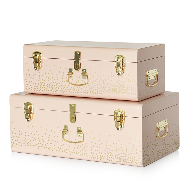 Metal Storage Trunk