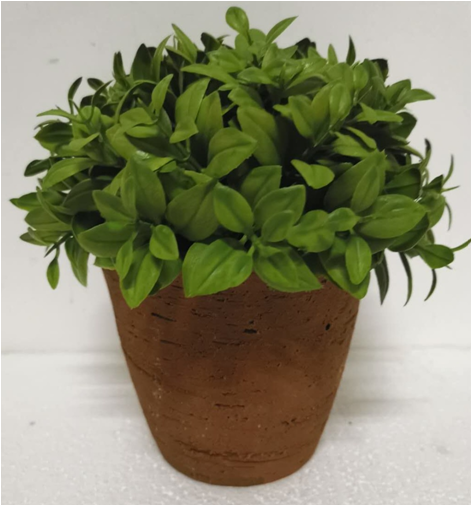 flower pot