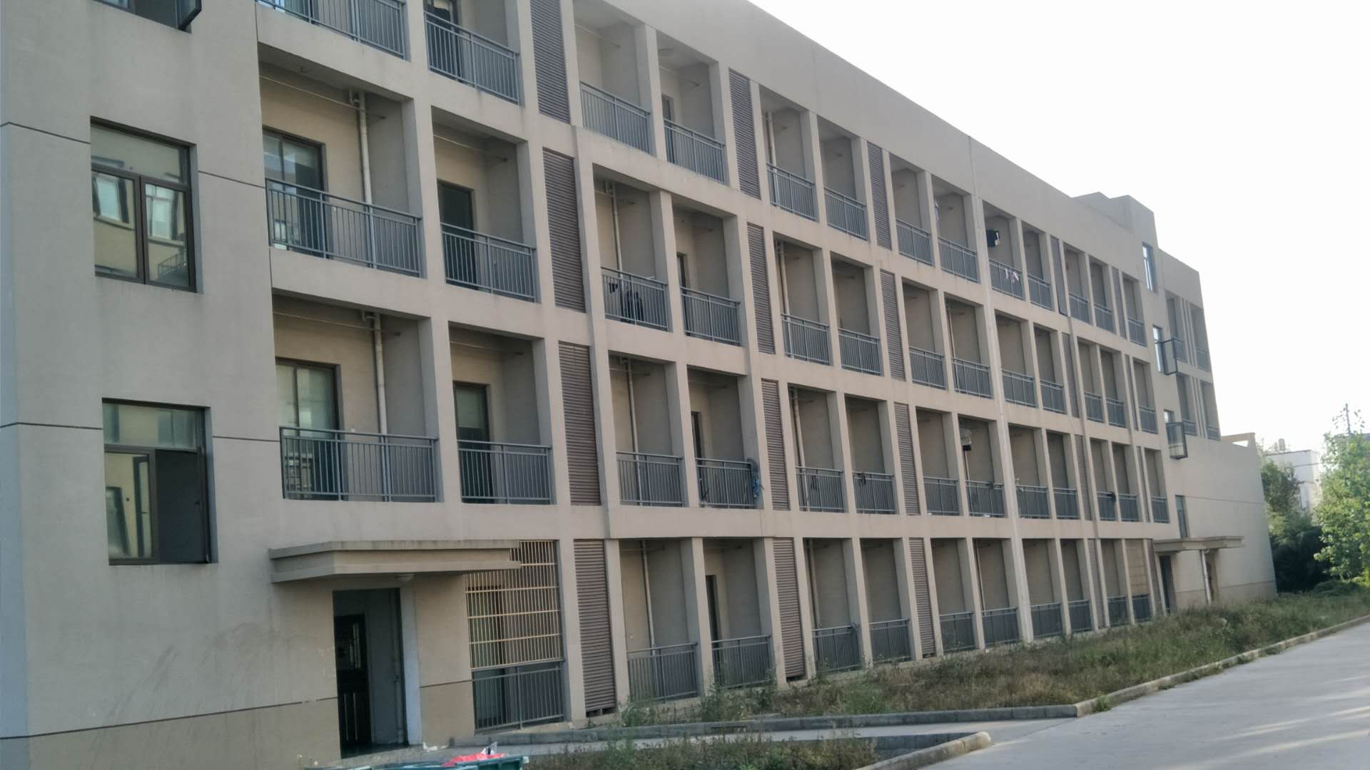 Yingshang Shunsheng Import and Export Trading Co., Ltd. – Photos produits 3