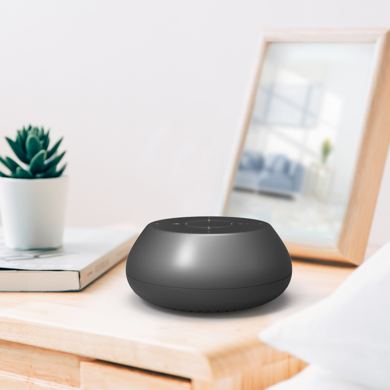 MINI Smart Speaker