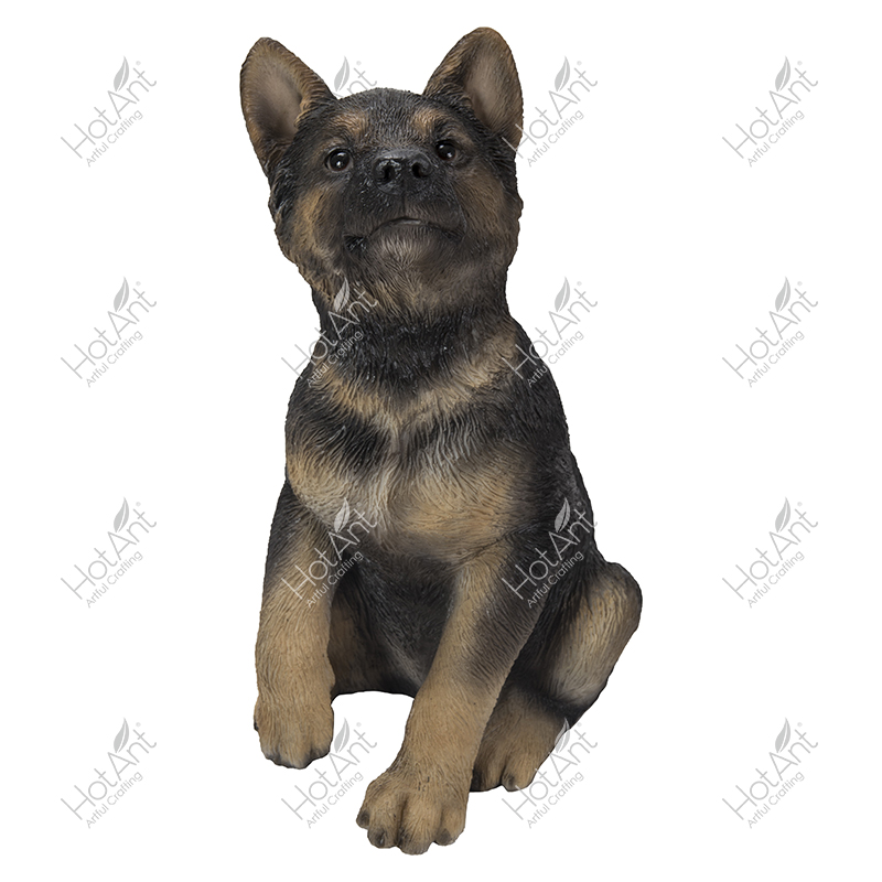 Sit Wolf dog