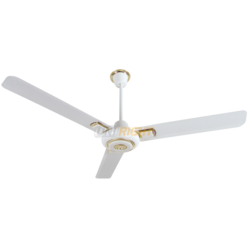 Ceiling Fan
