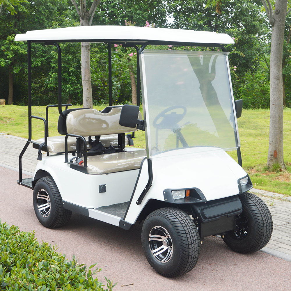 Electric Golf Cart