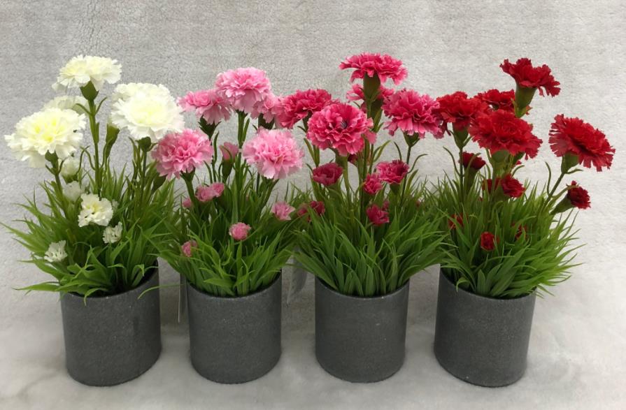 148#potted Carnation