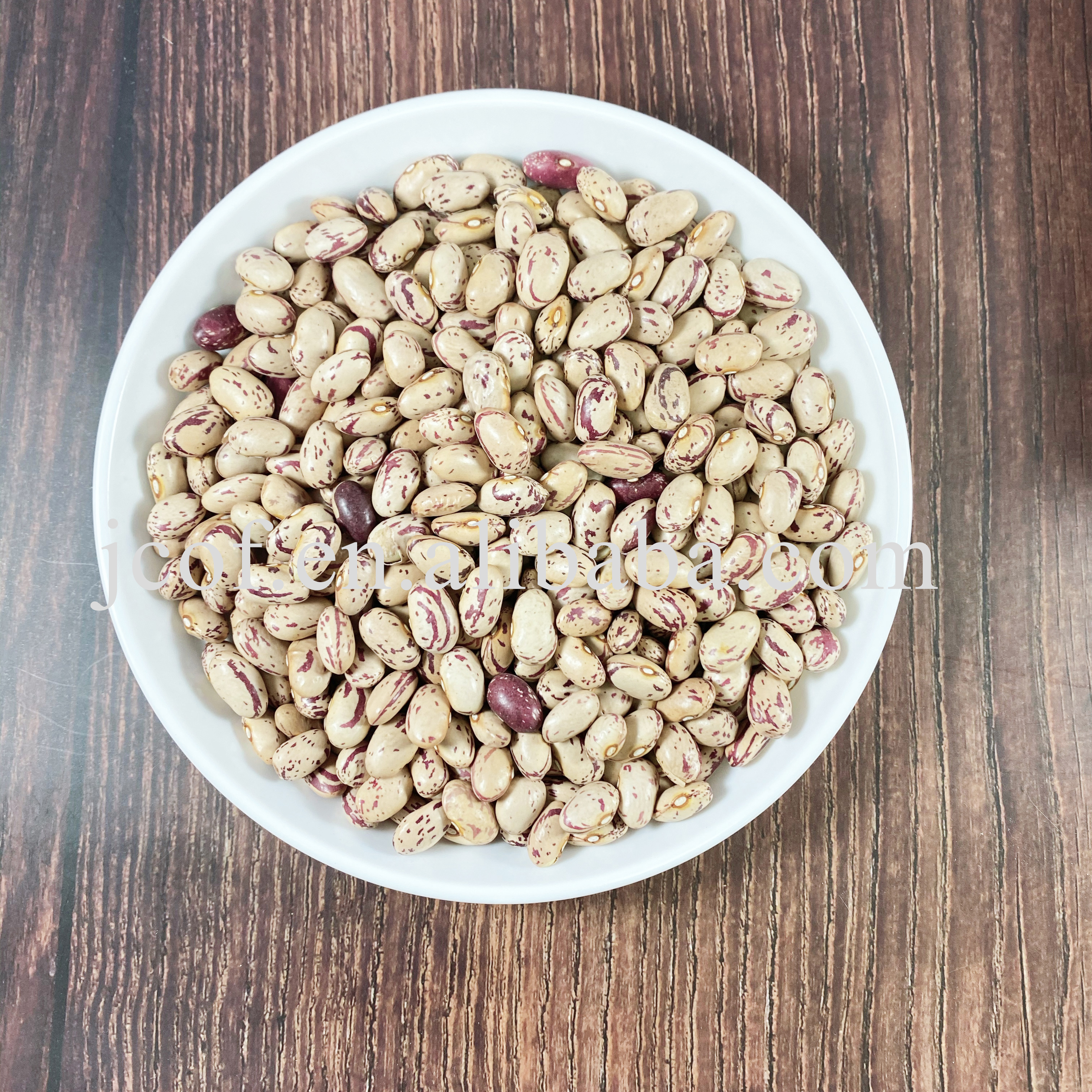 Light Speckled Kidney Beans Oval shape USA type