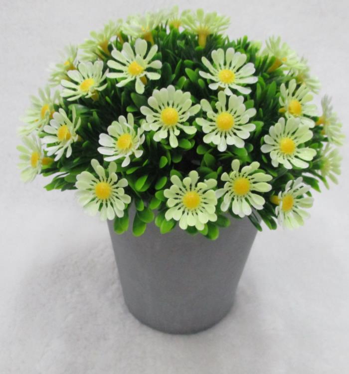 061#potted Plants