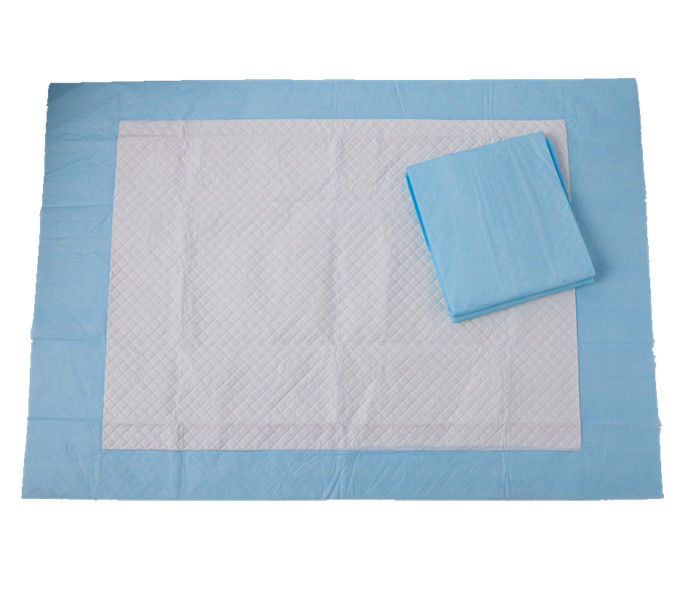 Disposable UnderPad