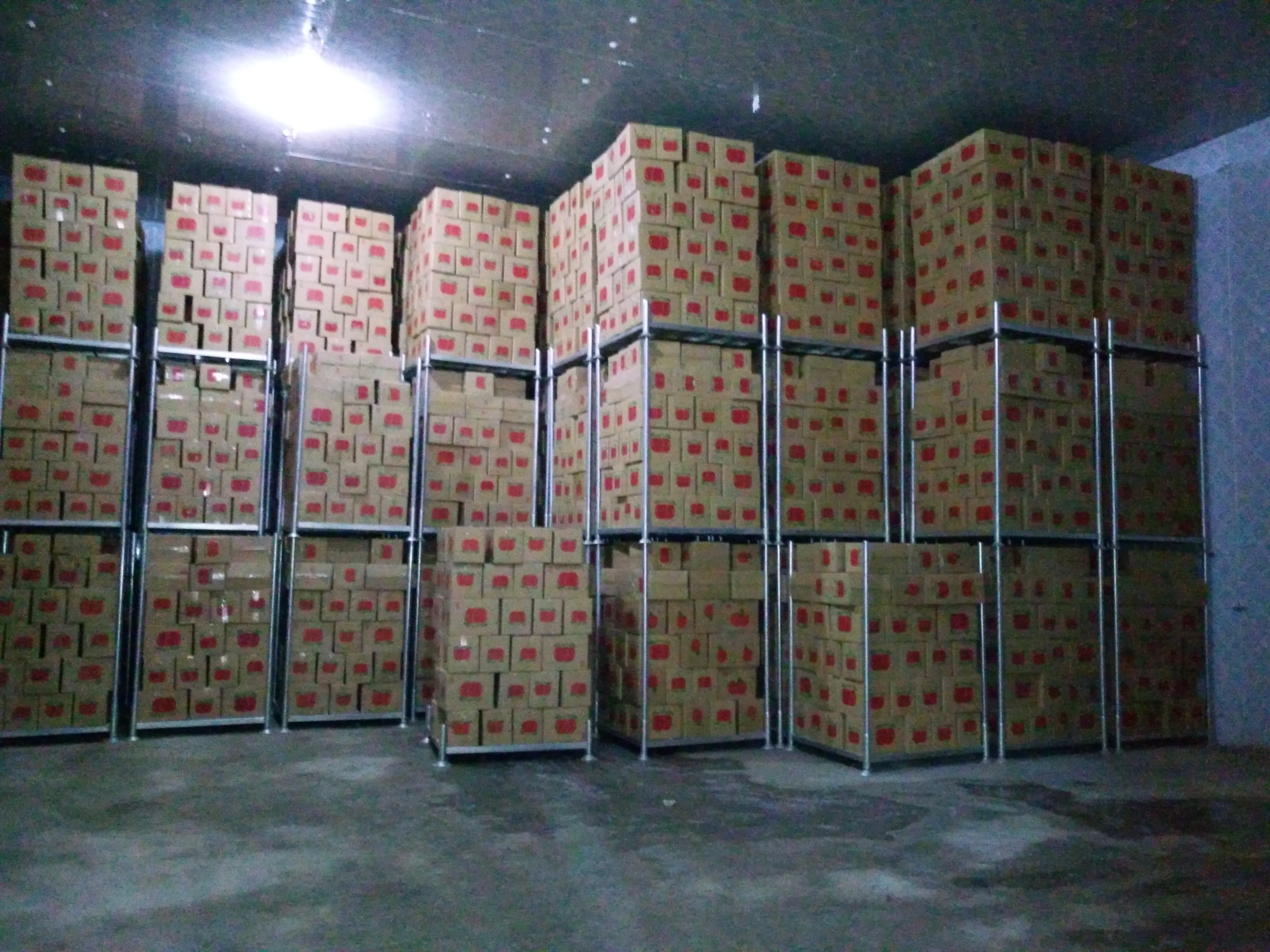 Jingning Lvmu Fruit Industry Co., Ltd. – Photos produits 3
