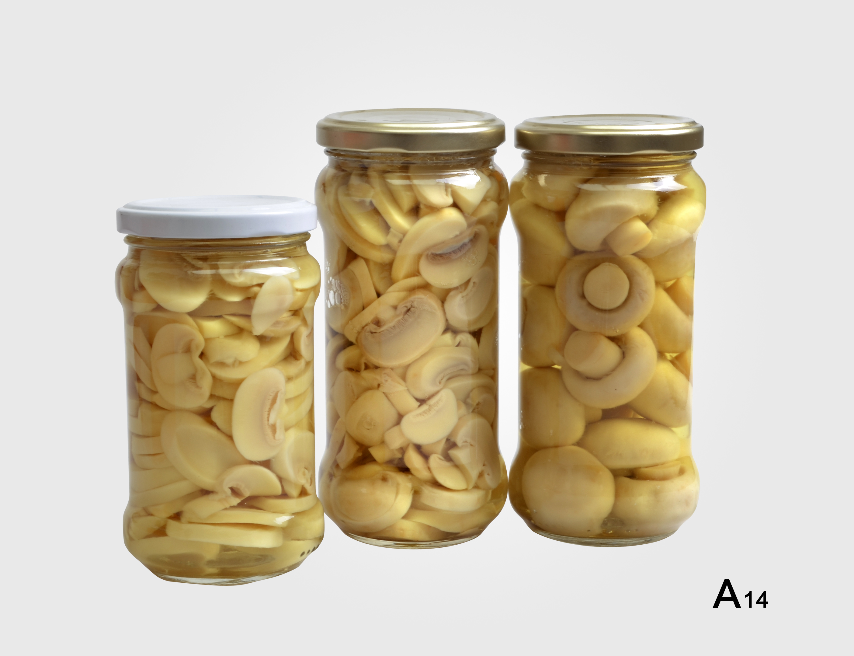 Xiamen Pak Shing Import&Export Co.Ltd – 菌菇罐头 2