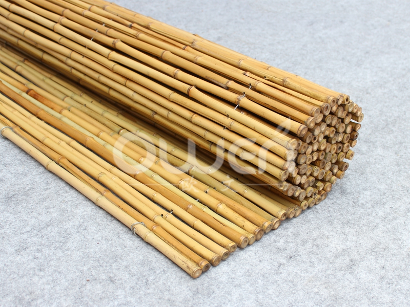 Bamboo fence