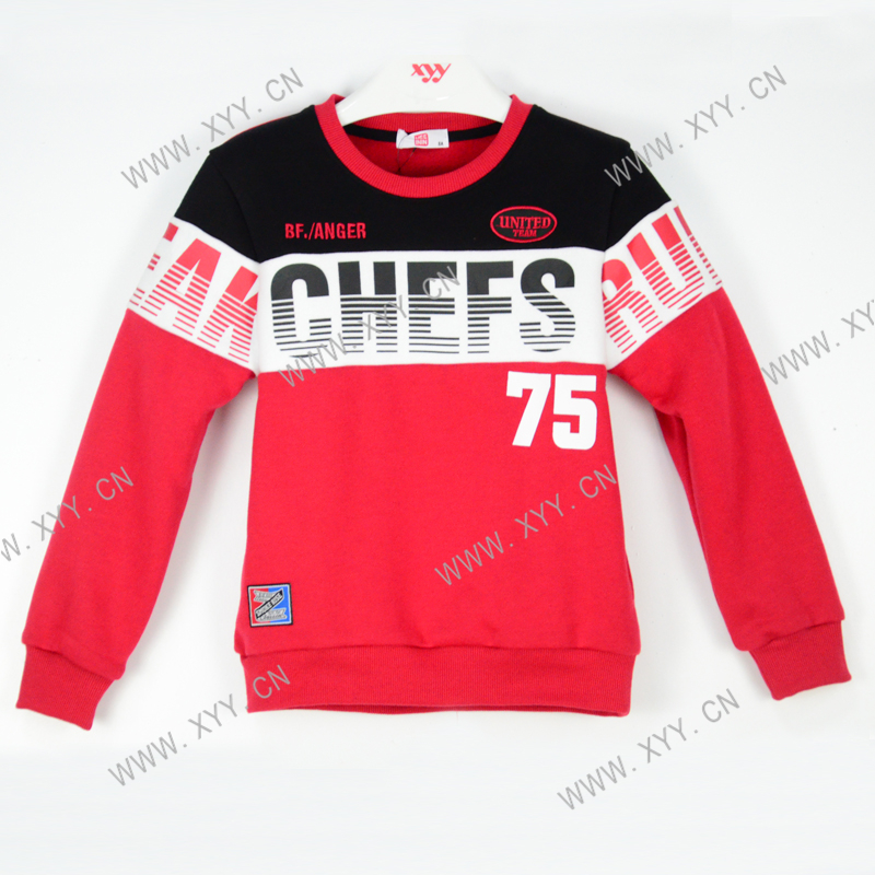 Boy's sweatshirt