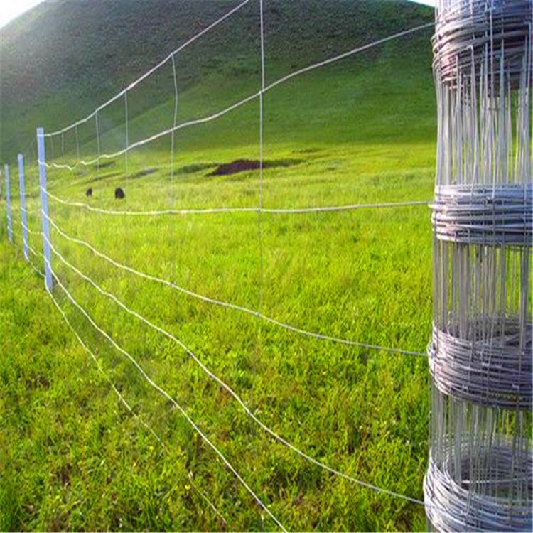 Field fence