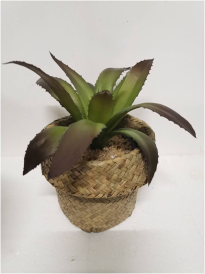Flower pot