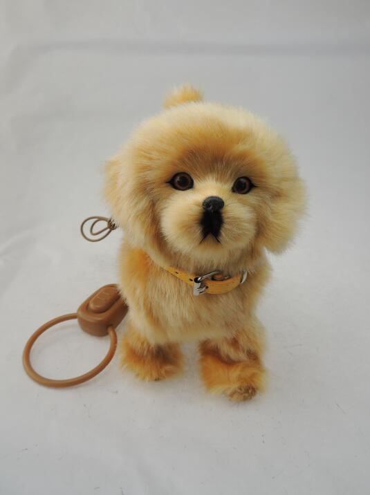 Walking dog with rope
