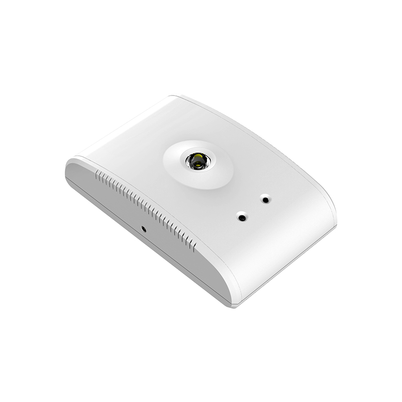 Integrated plastic wall-mounted emergency ceiling light