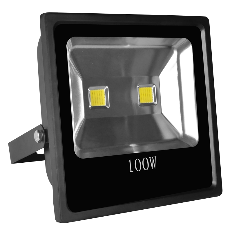 CET-111 COB flood light