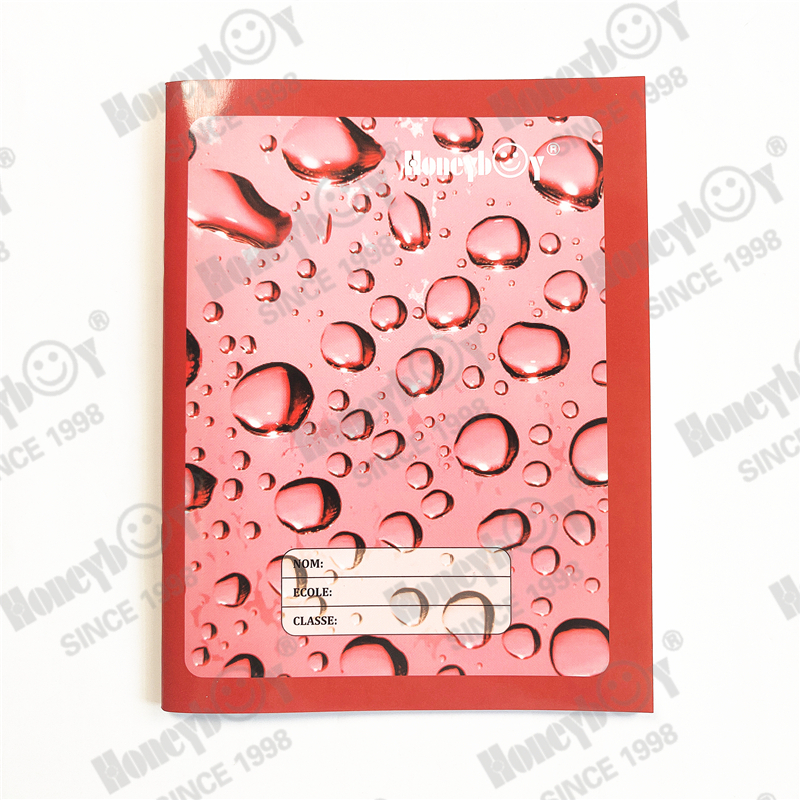 55gsm offset paper french lines printing exercise book