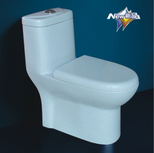 One-Piece Toilet