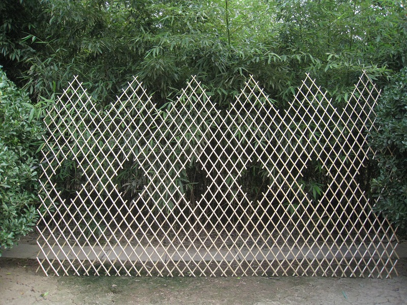 Trellis