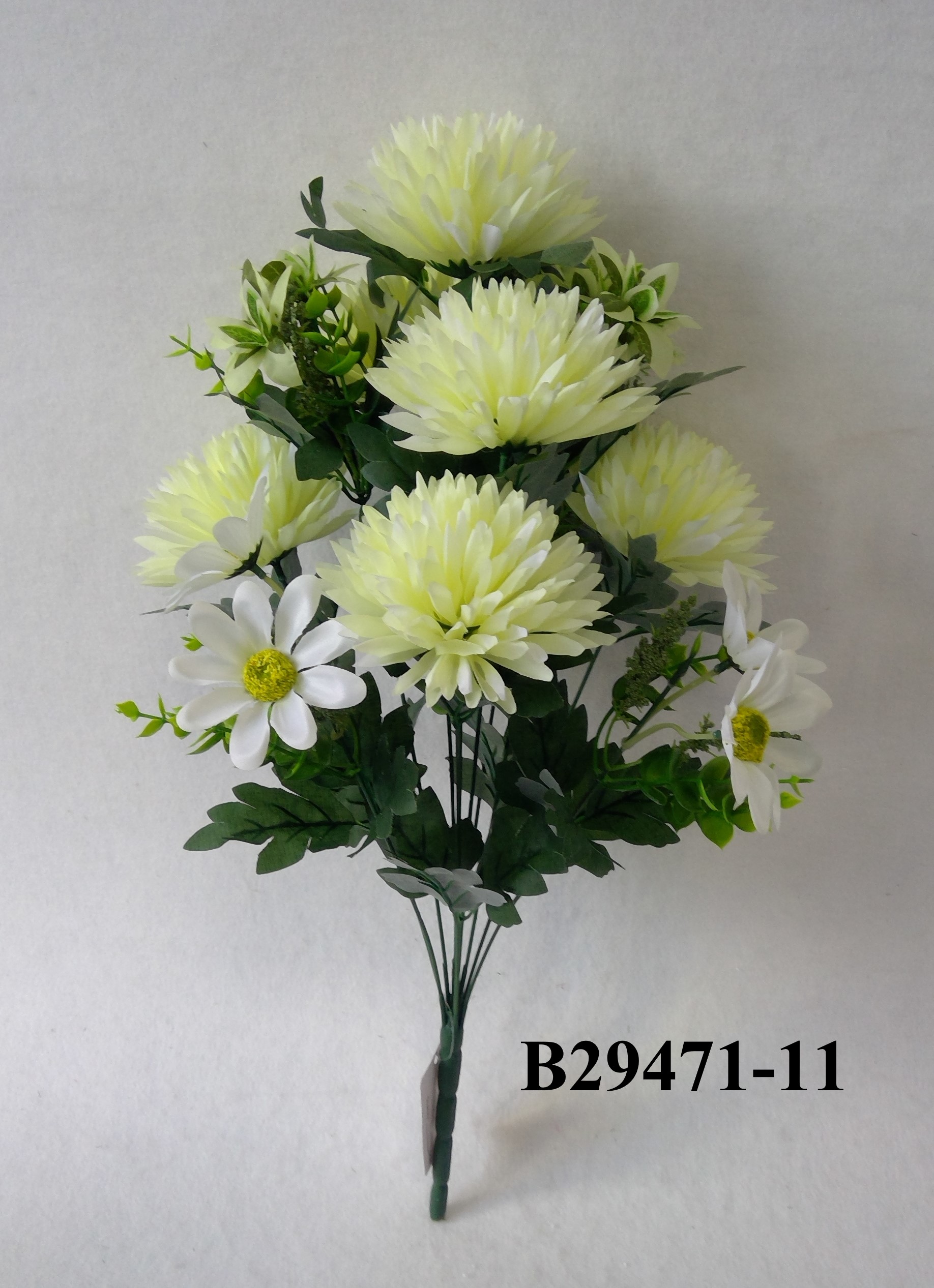 Ball mum daisy mix bush x 11