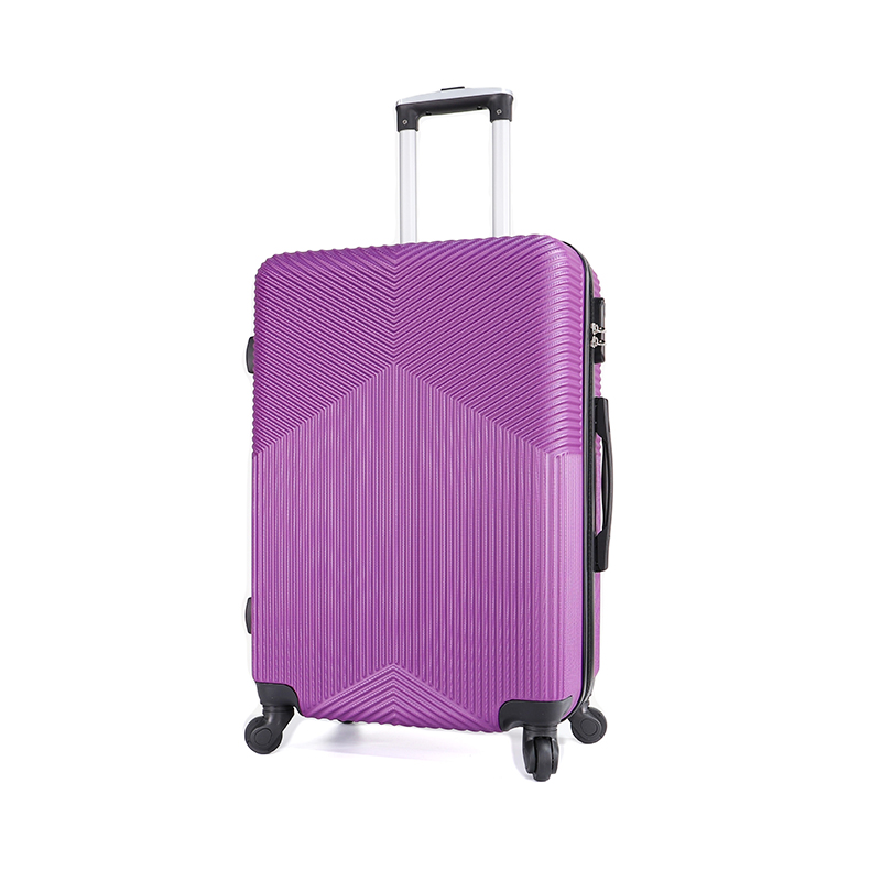 ABS Trolley Case