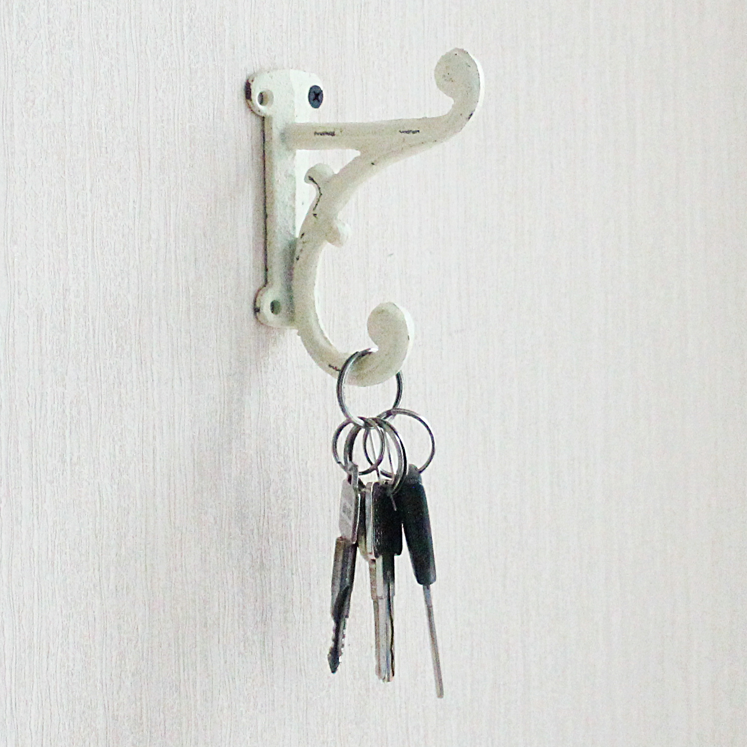 Cast Iron Coat Hook