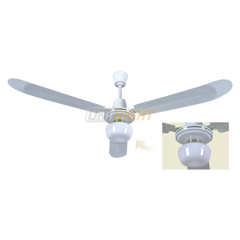 Ceiling Fan