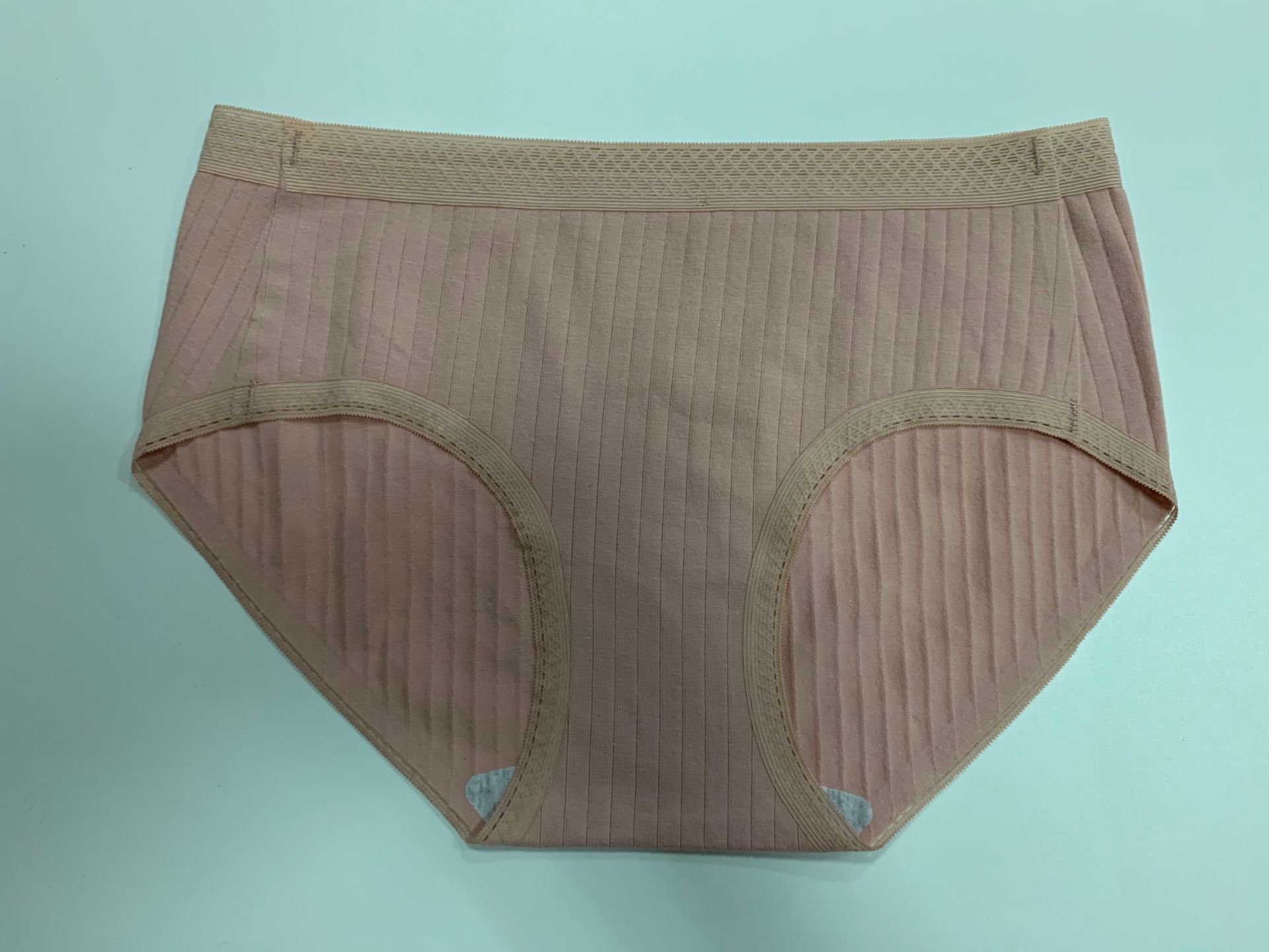 Stitchless Women Panty