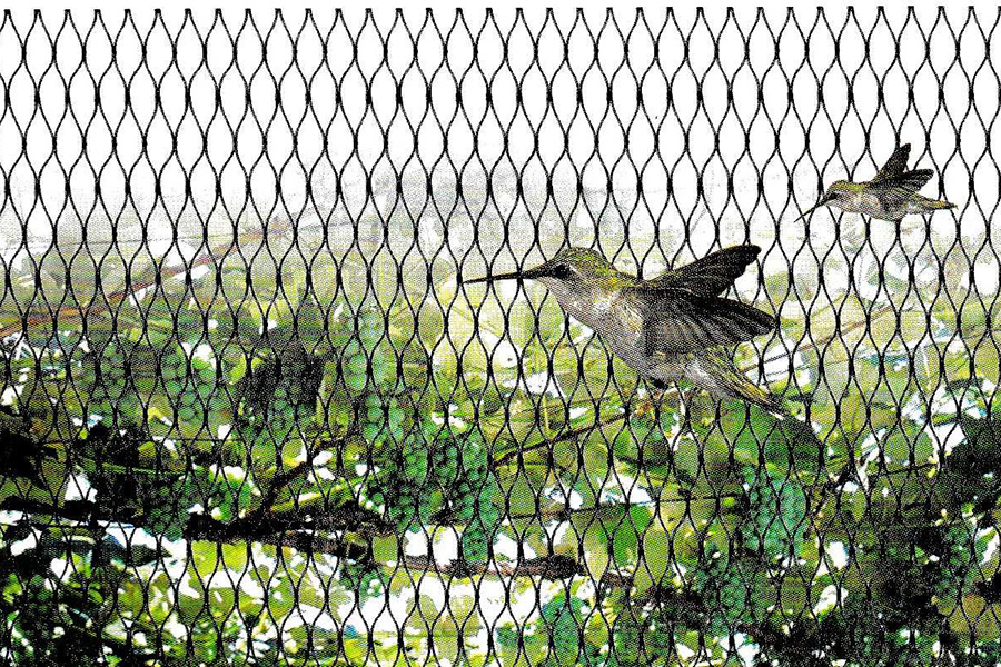 anti-bird protection net