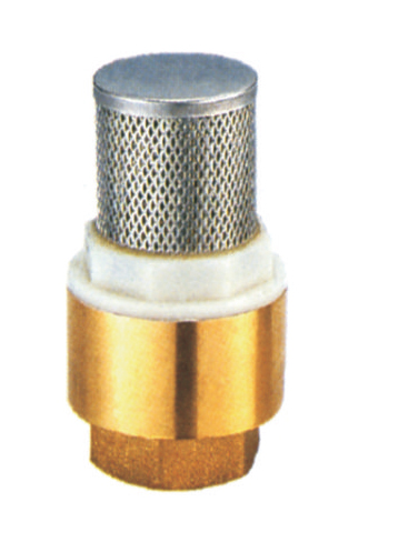 check valve