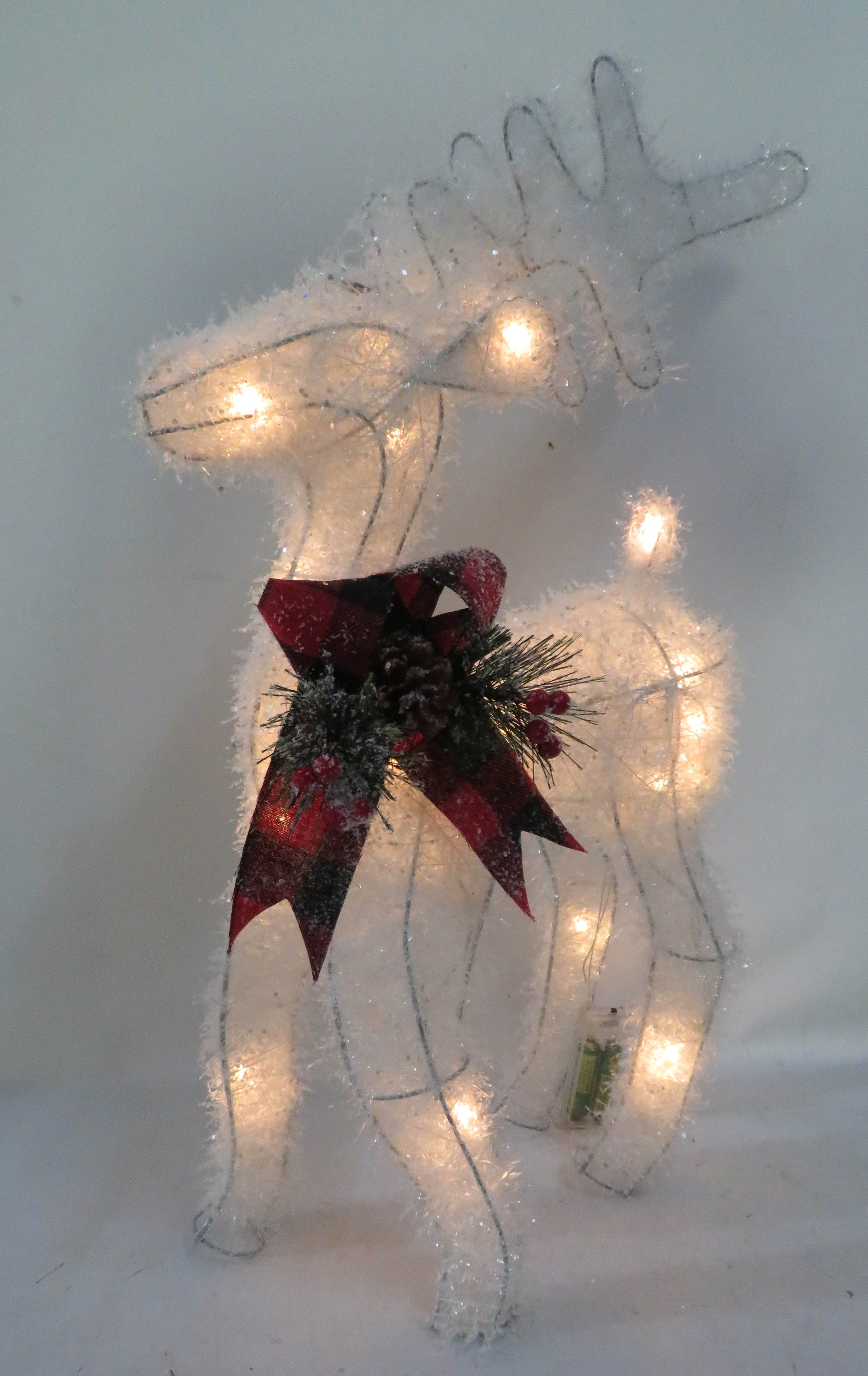 Reindeer