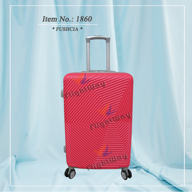 ABS Trolley Case