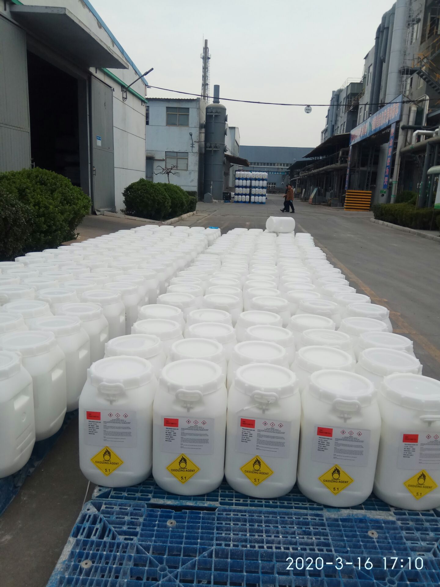 sodium dichloroisocyanurate 55%