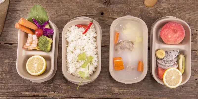 700ml 2compartments Salad Box