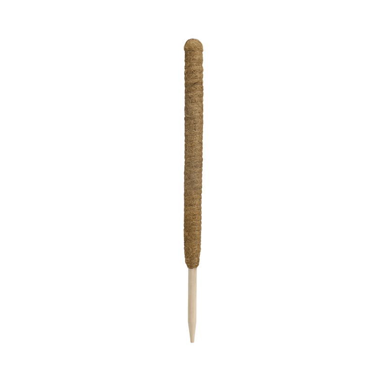 Coco Pole