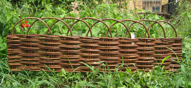 Willow Border