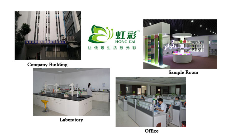 Shenzhen Hongcai New Material Technology Co., Ltd. – disposable tableware 1
