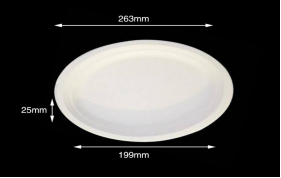 Compostable tableware 10" Oval Plate