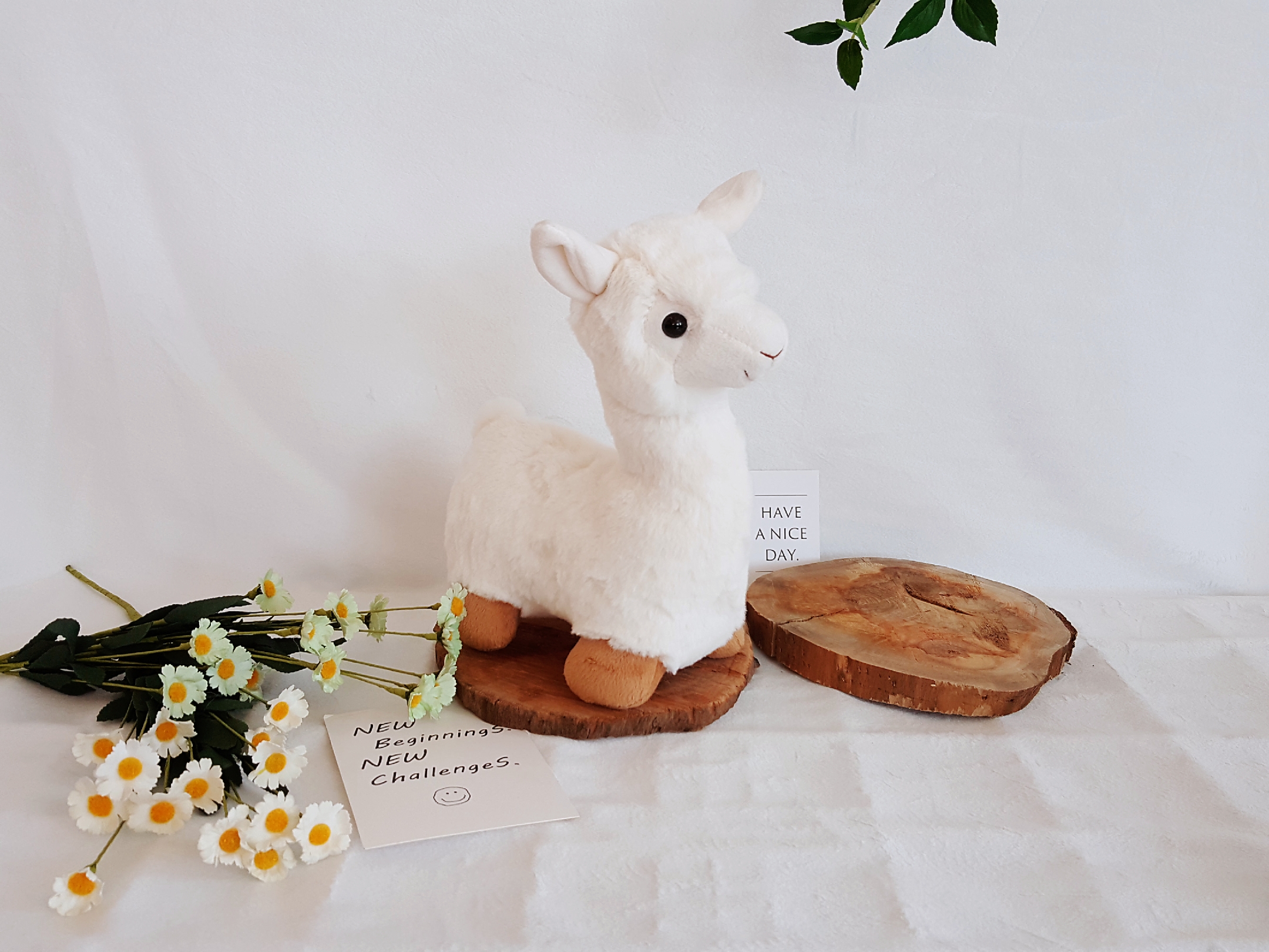 WEIHAI CUTE ARTS & CRAFTS CO.,LTD – títere de tela 4