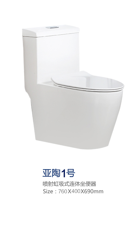 One-Piece Toilet
